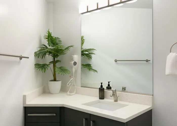 Dtown Penthouse - 4bd-4ba Parking Gym Chicago